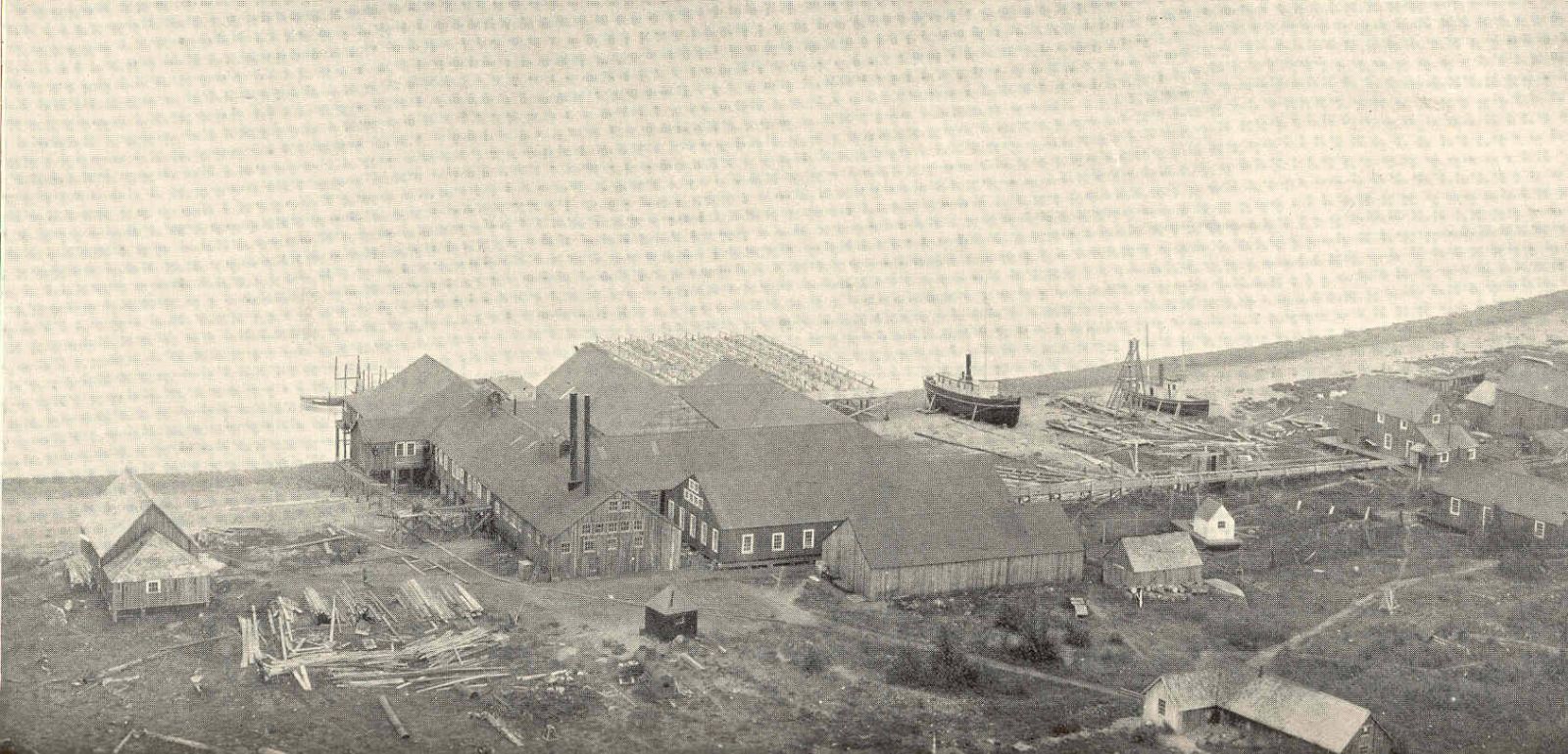 Alaska Packers Association Cannery At Pyramid Harbor - 1899