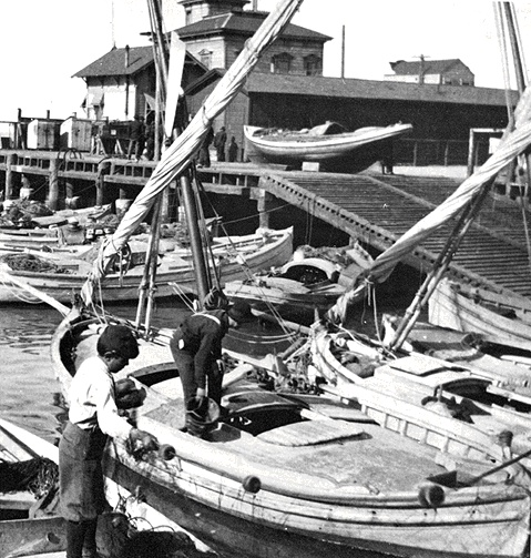 Fisherman's Wharf 1900
