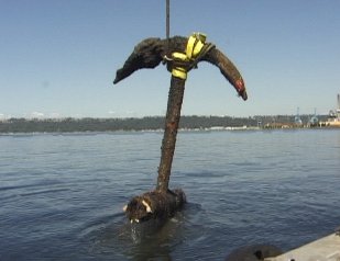 Large Anchor retrieved in 1993