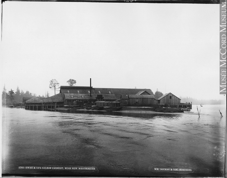 Photograph | Ewan & Co's Salmon Cannery, near New Westminster, BC, 1887 
